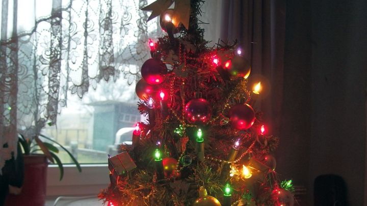 Ein festlich geschm&uuml;ckter Christbaum leuchtet bunt im Raum, w&auml;hrend winterliches Licht durch das Fenster str&ouml;mt.