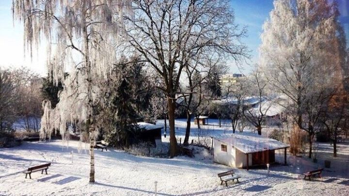 Eine verschneite Gartenlandschaft zeigt eine Laube, umgeben von B&auml;umen, die im Winter nicht einfrieren.