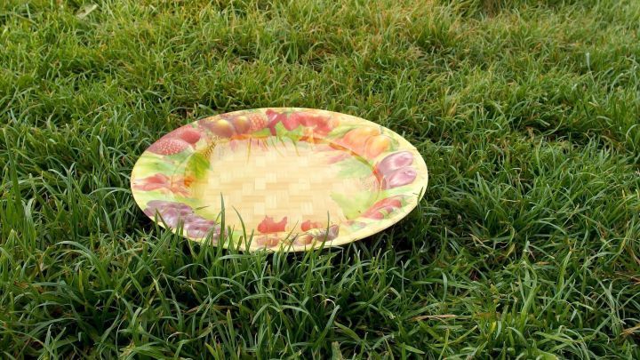 Eine bunte Vogeltr&auml;nke liegt auf gr&uuml;nem Gras im Garten, bereit, V&ouml;geln Wasser zu bieten und sie anzulocken.