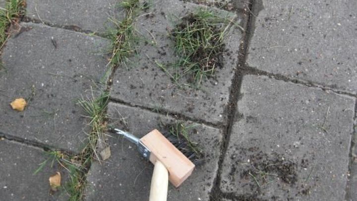 Mit dem richtigen Werkzeug entfernst Du Unkraut zwischen Pflastersteinen schnell, r&uuml;ckenschonend und ganz ohne Chemie.