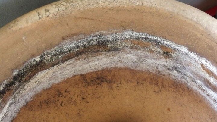 Ein Blumentopf aus Ton zeigt Kalkablagerungen an der Oberkante, die durch Entkalken entfernt werden sollten.