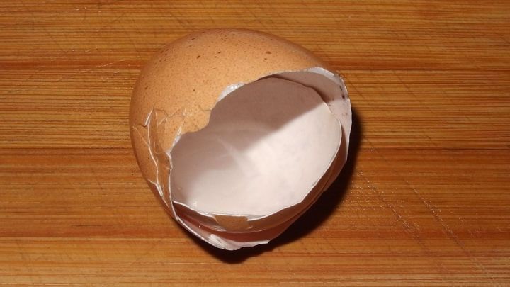 Eine zerbrochene Eierschale liegt auf einem Holzbrett, bereit f&uuml;r den Einsatz gegen Schnecken im Garten.