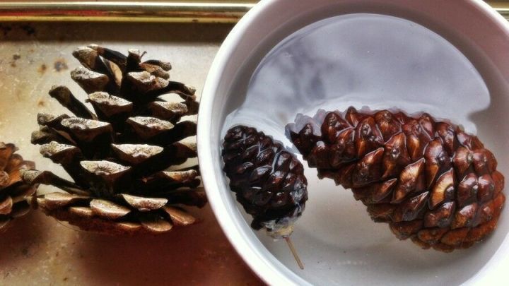 Tannenzapfen schwimmen in einer Schale Wasser, w&auml;hrend andere daran vorbeiliegen, umgeben von hellen und neutralen Farben.