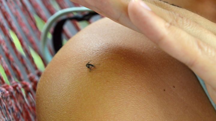 Eine Hand zeigt auf einen M&uuml;ckenstich auf einem Arm, umgeben von einem entspannten, nat&uuml;rlichen Umfeld.