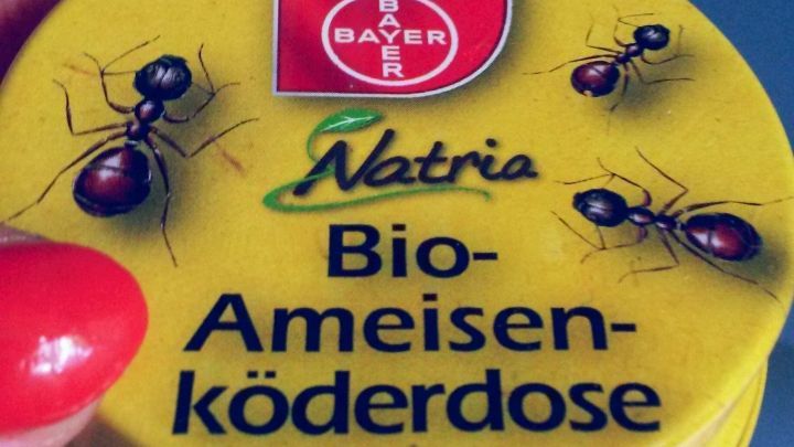 Ameisen vertreiben mit Köderdose Frag Mutti Ameisen vertreiben mit Köderdose Frag Mutti