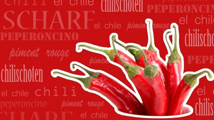 Rote Chilischoten schieben sich aus einer Handvoll zusammen, umgeben von Texten wie &bdquo;Chilischoten&ldquo; und &bdquo;Scharfe&ldquo; auf rotem Hintergrund.