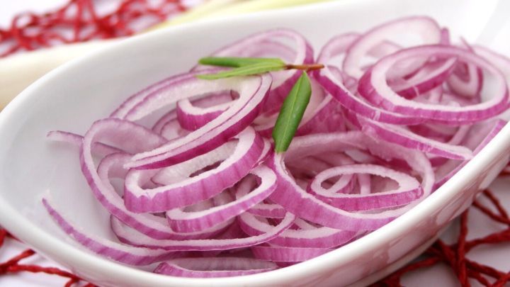 In einer wei&szlig;en Schale liegen d&uuml;nne, violette Zwiebelringe, dekoriert mit einem gr&uuml;nen Blatt, auf einem roten Netz.