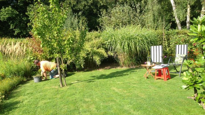 Im gepflegten Garten steht ein rotes und ein gestreiftes Sitzkissen, w&auml;hrend ein Hund in der N&auml;he umherl&auml;uft.