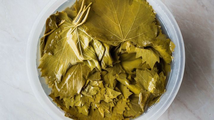 In einer durchsichtigen Sch&uuml;ssel liegen eingelegte Weinbl&auml;tter in Salzlake, die zur Konservierung vorbereitet wurden.