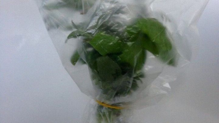 Frische Kr&auml;uter sind in einem Glas Wasser eingewickelt in Folie, um sie im K&uuml;hlschrank frisch zu halten.
