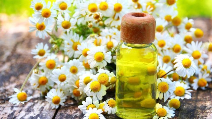 Eine Flasche mit goldenem &Ouml;l steht auf einem Holztisch, umgeben von bl&uuml;henden Kamille, die die nat&uuml;rliche Haaraufhellung symbolisiert.