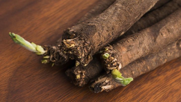 Wie Kriegt Man Alte Tapeten Runter : Steckr?ben, Schwarzwurzeln ? Wie gut alte Gem?sesorten schmecken Wie Kriegt Man Alte Tapeten Runter : Steckr?ben, Schwarzwurzeln ? Wie gut alte Gem?sesorten schmecken