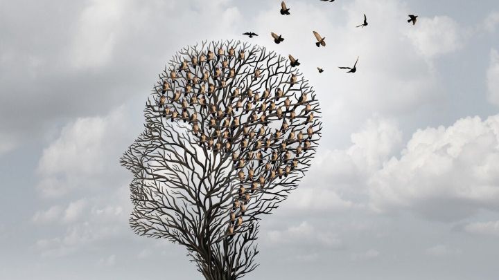 Ein Baum in Form eines Kopfes steht auf einer Wiese, w&auml;hrend V&ouml;gel in den Himmel fliegen, symbolisiert Gedanken und Freiheit.