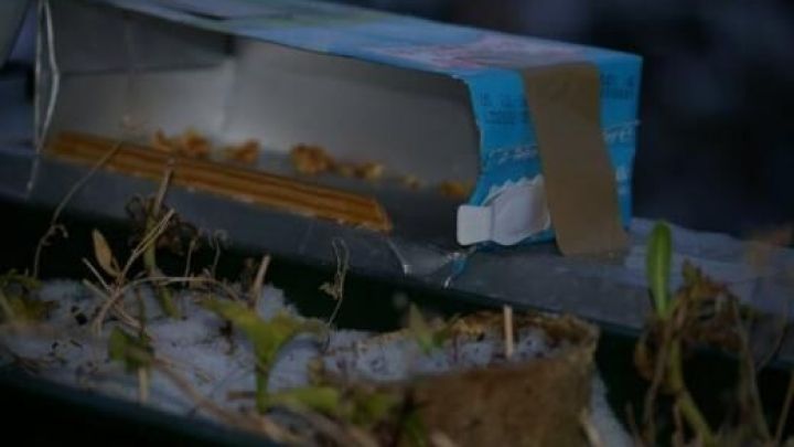 Ein umfunktionierter Milchkarton dient als Futterstelle f&uuml;r Meisen, liegt auf einem Schnee bedeckten Balkongel&auml;nder.