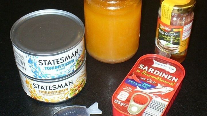 Konservendosen mit Fisch stehen neben einem Glas mit &Ouml;l, w&auml;hrend Fisch&ouml;lauff&auml;nger die Nutzung erleichtern.