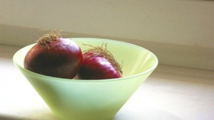 Rote Zwiebeln liegen in einer gr&uuml;nen Sch&uuml;ssel auf einem Fensterbrett, gut beleuchtet von nat&uuml;rlichem Licht.