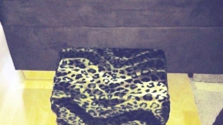 Ein weiches Katzenkissen liegt auf dem Boden neben einem Sofa, ideal f&uuml;r Gelenkentlastung bei Haustieren.