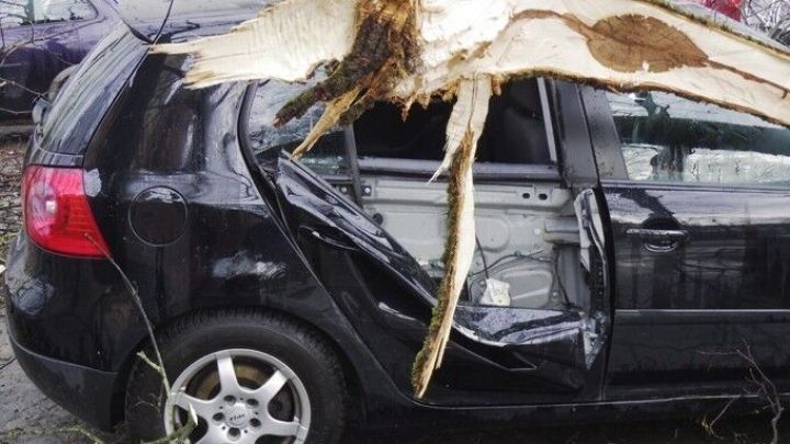 Ein besch&auml;digtes Auto steht auf der Stra&szlig;e, w&auml;hrend ein abgebrochener Ast darauf liegt, sichtbar nach dem Sturm.