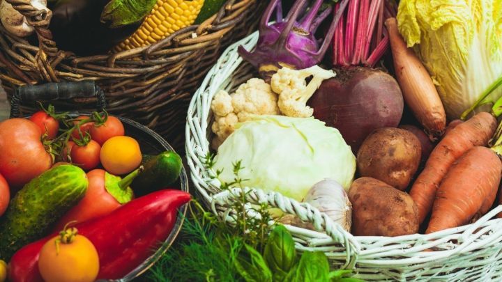 Frisches Gem&uuml;se, wie Karotten und Kohl, liegt in einem Korb, um optimale Lagerung zu zeigen, um H&uuml;gellandschaft zu schaffen.