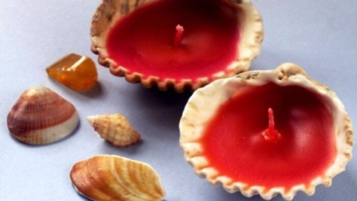 Zwei Muschelkerzen stehen auf einem hellen Untergrund, umgeben von verschiedenen kleinen Muscheln.