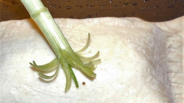 Ein Backpinsel betupft Teig, w&auml;hrend er auf einer rustikalen Oberfl&auml;che liegt, das frische Aroma von herzhaften Gerichte verbreitend.