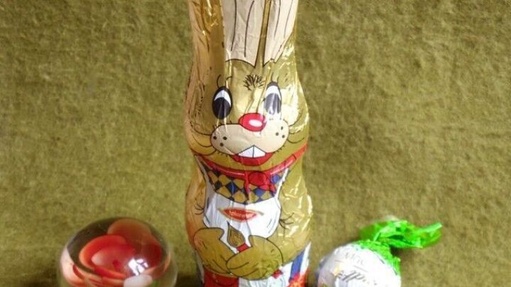 Ein Schokohase steht auf einem gr&uuml;nen Untergrund, w&auml;hrend ein Gutschein im Hasen versteckt ist, um zu &uuml;berraschen.