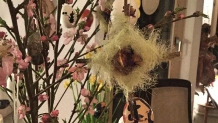 Wollgarnkreuze h&auml;ngen dekorativ an einem bl&uuml;henden Zweig, um einen festlichen Osterstrau&szlig; im gem&uuml;tlichen Raum zu gestalten.