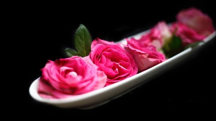 Rosen in einer wei&szlig;en Schale liegen sch&ouml;n angeordnet auf schwarzem Hintergrund, was elegant und ansprechend wirkt.