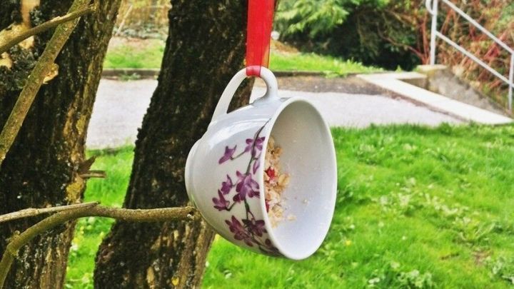 Eine h&auml;ngende Tasse, gef&uuml;llt mit Vogelfutter, baumelt an einem Baumast, um V&ouml;gel im Garten zu f&uuml;ttern.