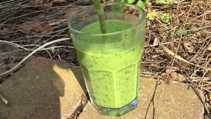 Ein Glas gr&uuml;ner Smoothie steht auf Pflastersteinen im Freien, umgeben von Pflanzen und Gras.