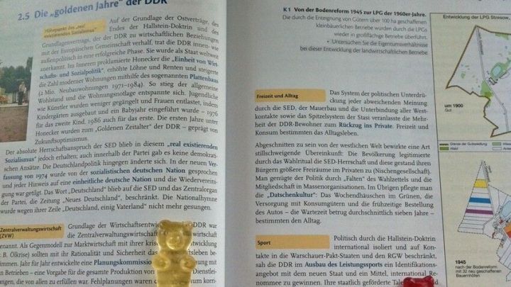 Auf einer offenen Buchseite mit Text sind drei Gummib&auml;rchen in Gelb und Rot platziert, w&auml;hrend das Lernen mit Belohnung verdeutlicht wird.