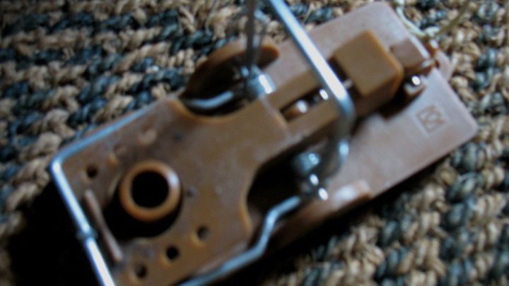 Eine einfache Mausefalle liegt auf einem gewebten Teppich und ist f&uuml;r die Jagd auf Nagetiere bereit.