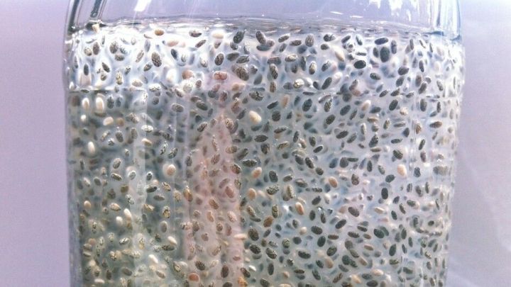 Ein Glas mit gequollenen Chia-Samen schwimmt in hellem Wasser und verleiht einen gesunden, erfrischenden Eindruck.