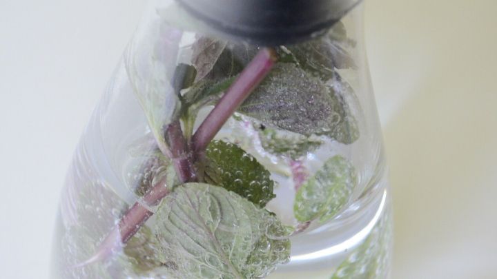 Eine Glaskaraffe mit sprudelndem kalorienfreiem Sommergetr&auml;nk, gef&uuml;llt mit spritzigem Wasser und frischen Kr&auml;utern.