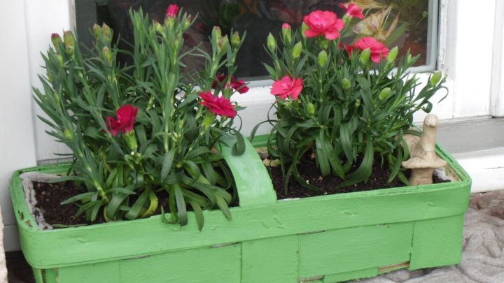 Ein gr&uuml;nes Henkelk&ouml;rbchen steht vor einem Fenster und ist mit bunten, bl&uuml;henden Pflanzen bepflanzt, die farbenfroh wirken.