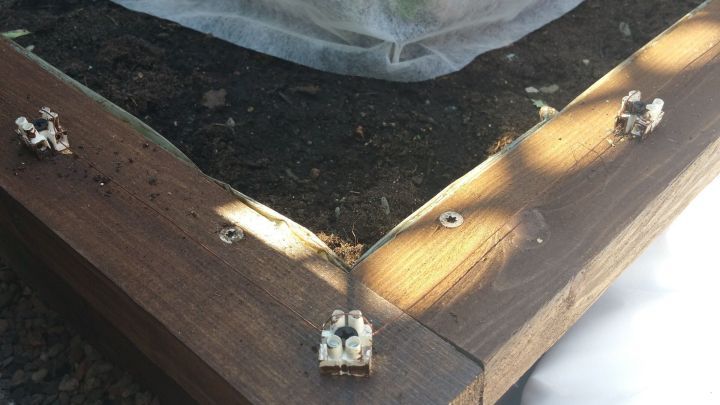 Ein selbstgebauter elektrischer Schneckenzaun aus Holz wird an einem Gartenbeet angebracht, um Schnecken fernzuhalten.