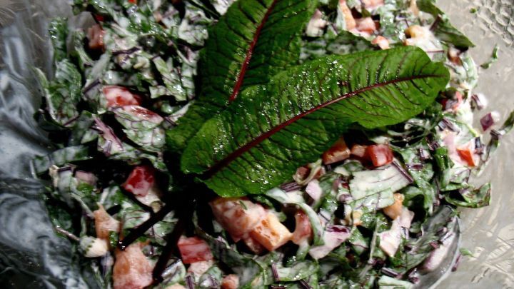 Blut-Sauerampfer-Salat – frisch und fruchtig - Rezept | Frag Mutti