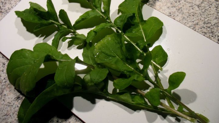 Frische Rucola liegt auf einem wei&szlig;en Schneidebrett und wartet darauf, f&uuml;r gesunde Gerichte verwendet zu werden.