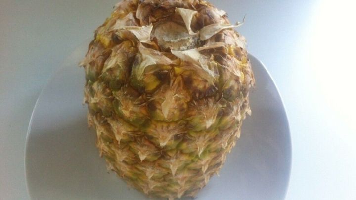Eine ganze Ananas liegt auf einem wei&szlig;en Teller, bereit zur Aufbewahrung in einer hellen K&uuml;chenumgebung.