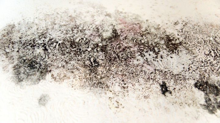 Schimmel breitet sich auf einer wei&szlig;en Wand aus und zeigt ungesunde Flecken in einem Wohnraum.