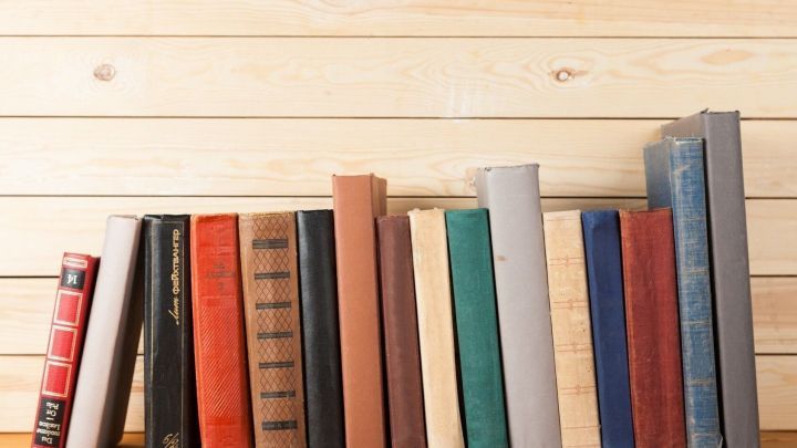 Eine Reihe von gebrauchten B&uuml;chern steht auf einem Holzregal vor einer hellen Holzvert&auml;felung, bereit zum Lesen.