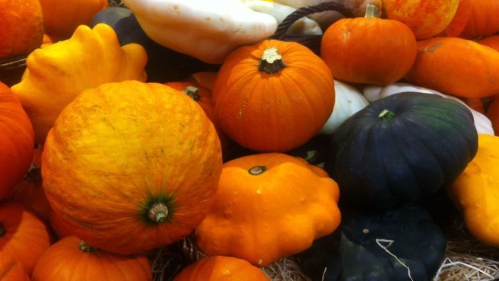 Eine Ansammlung von verschiedenen K&uuml;rbissen in leuchtenden Farben wie Orange und Schwarz, die &uuml;ppig in einem Korb angeordnet sind.