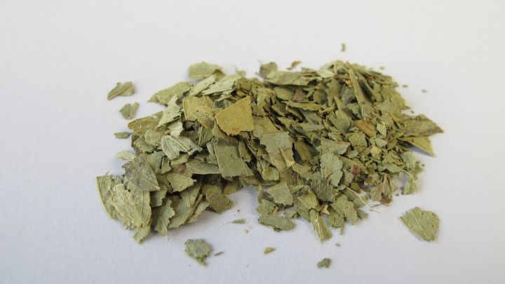 Kr&auml;uterst&uuml;cke liegen auf einem wei&szlig;en Hintergrund und werden als nat&uuml;rliche Hilfe f&uuml;r den Darm bei Verstopfung verwendet.