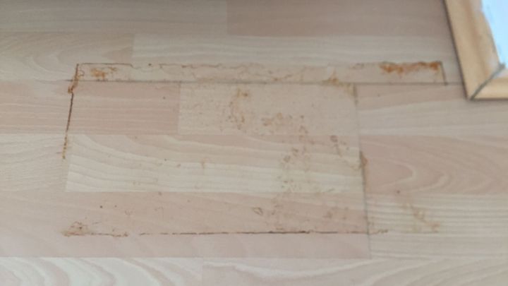 Ein Laminatboden mit Rostflecken zeigt einen unsch&ouml;nen, verf&auml;rbten Bereich in einem hellen Raum.