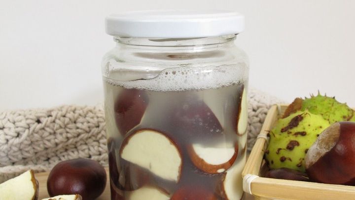 Ein Glas mit Wasser, gef&uuml;llt mit geschnittenen Kastanien, steht auf einem Holzbrett, umgeben von weiteren Kastanien und Schalen.