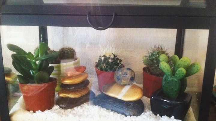 In einem Glaskasten stehen verschiedene Pflanzen in T&ouml;pfen, umgeben von wei&szlig;en Steinen, die eine h&uuml;bsche Deko bilden.