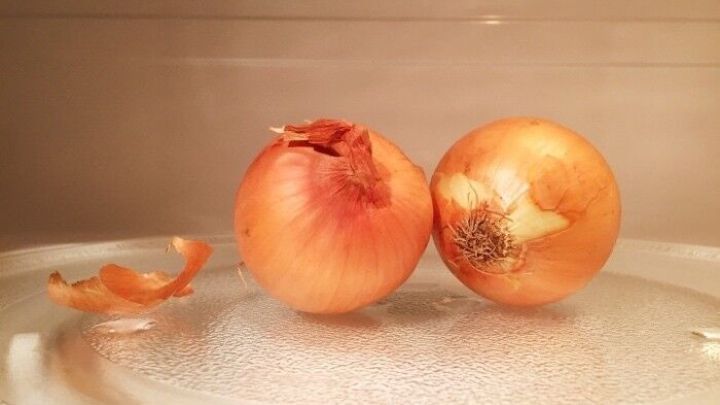 Zwei Zwiebeln liegen auf einem Mikrowellen-Teller, w&auml;hrend eine Schale abgebl&auml;ttert ist. Zwiebeln leichter sch&auml;len.