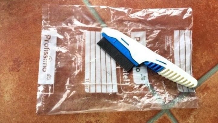 Ein Flohkamm liegt auf einem Tisch mit einer durchsichtigen T&uuml;te, bereit zur Bek&auml;mpfung von Fl&ouml;hen bei Haustieren.