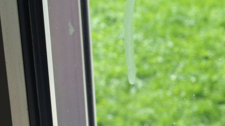 Ein schmutziges Fenster mit Kalkspritzern und Fliegendreck, im Hintergrund ist eine gr&uuml;ne Wiese sichtbar.