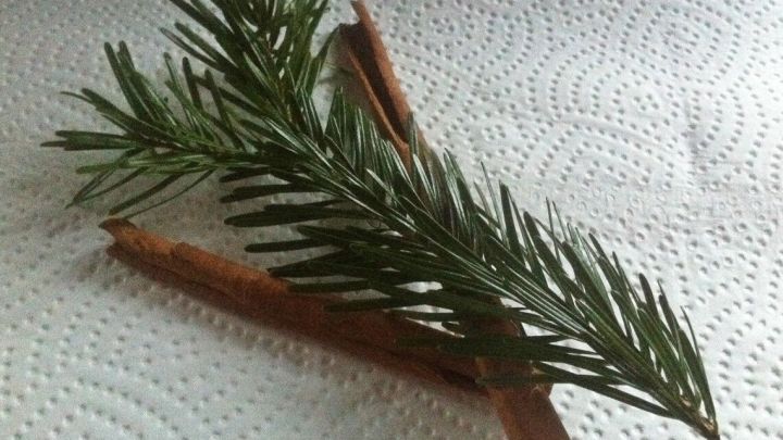 Ein frischer Zweig mit Tannennadeln liegt auf K&uuml;chenpapier, umgeben von Zimtstangen, zur Herstellung von Badezusatz.